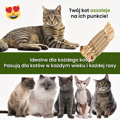 Patyczki Veluvia - Dla zdrowych zębów, świeżego oddechu i spokojnego kota